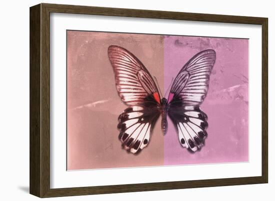 Miss Butterfly Agenor - Red & Pale Violet-Philippe Hugonnard-Framed Photographic Print