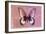 Miss Butterfly Agenor - Red & Pale Violet-Philippe Hugonnard-Framed Photographic Print