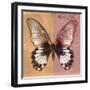 Miss Butterfly Agenor Sq - Orange & Red-Philippe Hugonnard-Framed Photographic Print