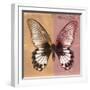 Miss Butterfly Agenor Sq - Orange & Red-Philippe Hugonnard-Framed Photographic Print