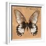 Miss Butterfly Agenor Sq - Orange-Philippe Hugonnard-Framed Photographic Print