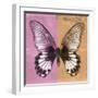 Miss Butterfly Agenor Sq - Pale Violet & Orange-Philippe Hugonnard-Framed Photographic Print