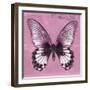 Miss Butterfly Agenor Sq - Pale Violet-Philippe Hugonnard-Framed Photographic Print