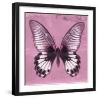 Miss Butterfly Agenor Sq - Pale Violet-Philippe Hugonnard-Framed Photographic Print