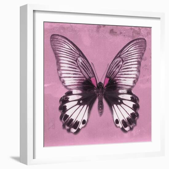 Miss Butterfly Agenor Sq - Pale Violet-Philippe Hugonnard-Framed Photographic Print