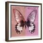 Miss Butterfly Agenor Sq - Red & Pale Violet-Philippe Hugonnard-Framed Photographic Print