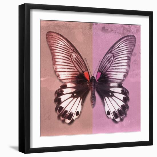 Miss Butterfly Agenor Sq - Red & Pale Violet-Philippe Hugonnard-Framed Photographic Print