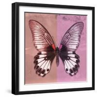 Miss Butterfly Agenor Sq - Red & Pale Violet-Philippe Hugonnard-Framed Photographic Print