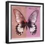 Miss Butterfly Agenor Sq - Red & Pale Violet-Philippe Hugonnard-Framed Photographic Print