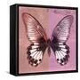 Miss Butterfly Agenor Sq - Red & Pale Violet-Philippe Hugonnard-Framed Stretched Canvas