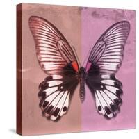 Miss Butterfly Agenor Sq - Red & Pale Violet-Philippe Hugonnard-Stretched Canvas