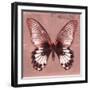Miss Butterfly Agenor Sq - Red-Philippe Hugonnard-Framed Photographic Print