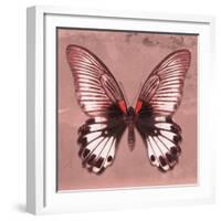 Miss Butterfly Agenor Sq - Red-Philippe Hugonnard-Framed Photographic Print