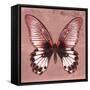 Miss Butterfly Agenor Sq - Red-Philippe Hugonnard-Framed Stretched Canvas