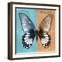 Miss Butterfly Agenor Sq - Turquoise & Orange-Philippe Hugonnard-Framed Photographic Print