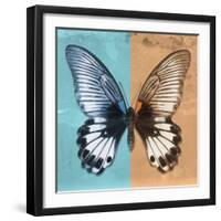 Miss Butterfly Agenor Sq - Turquoise & Orange-Philippe Hugonnard-Framed Photographic Print