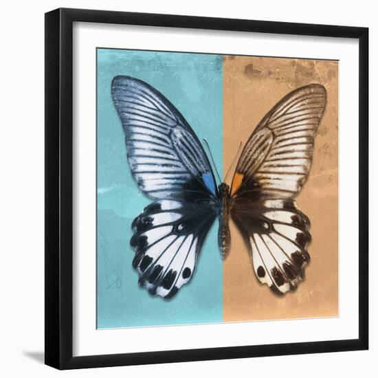 Miss Butterfly Agenor Sq - Turquoise & Orange-Philippe Hugonnard-Framed Photographic Print