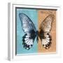 Miss Butterfly Agenor Sq - Turquoise & Orange-Philippe Hugonnard-Framed Photographic Print