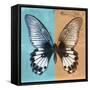 Miss Butterfly Agenor Sq - Turquoise & Orange-Philippe Hugonnard-Framed Stretched Canvas