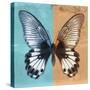Miss Butterfly Agenor Sq - Turquoise & Orange-Philippe Hugonnard-Stretched Canvas