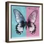 Miss Butterfly Agenor Sq - Turquoise & Pale Violet-Philippe Hugonnard-Framed Photographic Print
