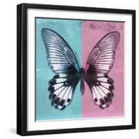 Miss Butterfly Agenor Sq - Turquoise & Pale Violet-Philippe Hugonnard-Framed Photographic Print