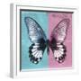 Miss Butterfly Agenor Sq - Turquoise & Pale Violet-Philippe Hugonnard-Framed Photographic Print