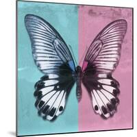 Miss Butterfly Agenor Sq - Turquoise & Pale Violet-Philippe Hugonnard-Mounted Photographic Print