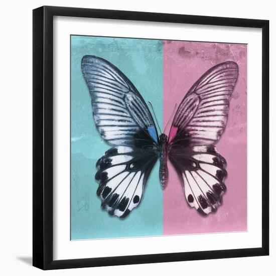 Miss Butterfly Agenor Sq - Turquoise & Pale Violet-Philippe Hugonnard-Framed Premium Photographic Print