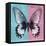 Miss Butterfly Agenor Sq - Turquoise & Pale Violet-Philippe Hugonnard-Framed Stretched Canvas