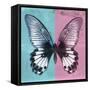 Miss Butterfly Agenor Sq - Turquoise & Pale Violet-Philippe Hugonnard-Framed Stretched Canvas