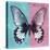 Miss Butterfly Agenor Sq - Turquoise & Pale Violet-Philippe Hugonnard-Stretched Canvas