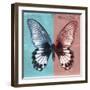 Miss Butterfly Agenor Sq - Turquoise & Red-Philippe Hugonnard-Framed Photographic Print