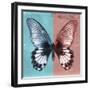 Miss Butterfly Agenor Sq - Turquoise & Red-Philippe Hugonnard-Framed Photographic Print