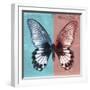 Miss Butterfly Agenor Sq - Turquoise & Red-Philippe Hugonnard-Framed Photographic Print