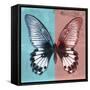 Miss Butterfly Agenor Sq - Turquoise & Red-Philippe Hugonnard-Framed Stretched Canvas