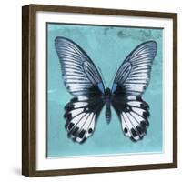 Miss Butterfly Agenor Sq - Turquoise-Philippe Hugonnard-Framed Photographic Print