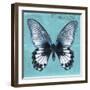 Miss Butterfly Agenor Sq - Turquoise-Philippe Hugonnard-Framed Photographic Print