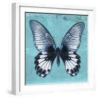 Miss Butterfly Agenor Sq - Turquoise-Philippe Hugonnard-Framed Photographic Print