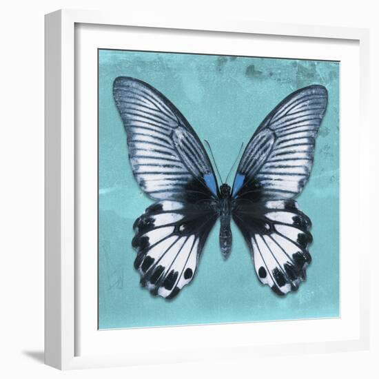 Miss Butterfly Agenor Sq - Turquoise-Philippe Hugonnard-Framed Photographic Print