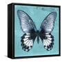 Miss Butterfly Agenor Sq - Turquoise-Philippe Hugonnard-Framed Stretched Canvas