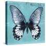 Miss Butterfly Agenor Sq - Turquoise-Philippe Hugonnard-Stretched Canvas