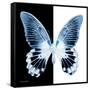 Miss Butterfly Agenor Sq - X-Ray B&W Edition-Philippe Hugonnard-Framed Stretched Canvas