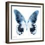 Miss Butterfly Agenor Sq - X-Ray White Edition-Philippe Hugonnard-Framed Photographic Print