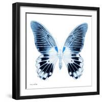 Miss Butterfly Agenor Sq - X-Ray White Edition-Philippe Hugonnard-Framed Photographic Print