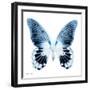 Miss Butterfly Agenor Sq - X-Ray White Edition-Philippe Hugonnard-Framed Photographic Print