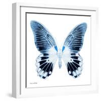 Miss Butterfly Agenor Sq - X-Ray White Edition-Philippe Hugonnard-Framed Photographic Print