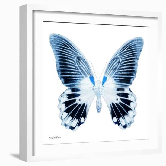 Miss Butterfly Agenor Sq - X-Ray White Edition-Philippe Hugonnard-Framed Photographic Print