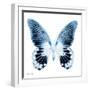 Miss Butterfly Agenor Sq - X-Ray White Edition-Philippe Hugonnard-Framed Photographic Print