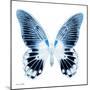 Miss Butterfly Agenor Sq - X-Ray White Edition-Philippe Hugonnard-Mounted Photographic Print